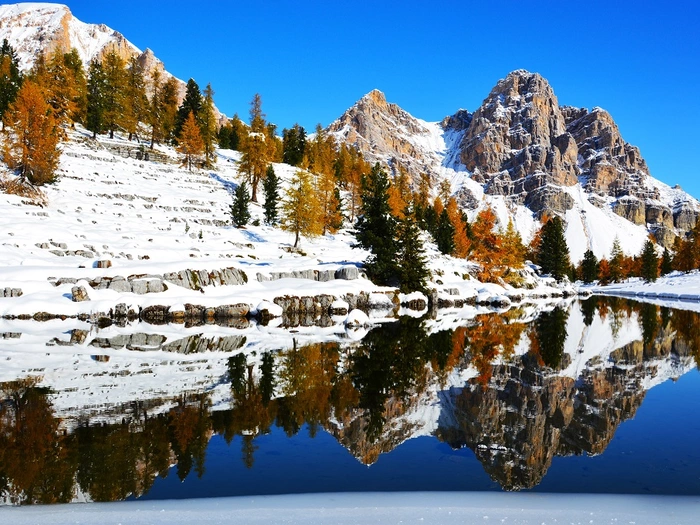 Naturmuseum Südtirol sucht Fotografie-Talente