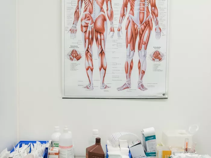 Land informiert über geschlechterspezifische Medizin