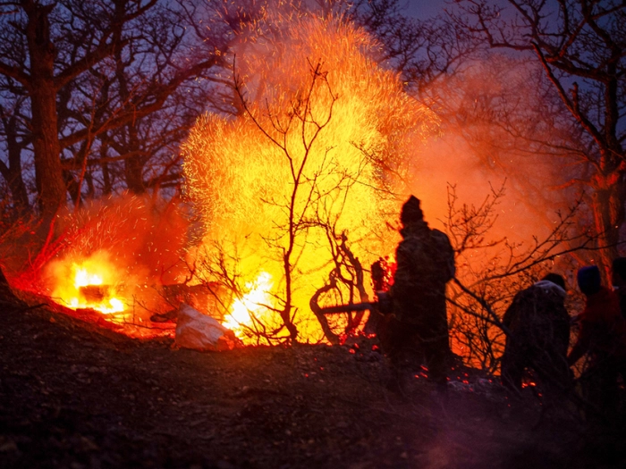 Iran bittet wegen Feuer in UNESCO-Welterbe-Wald um Hilfe