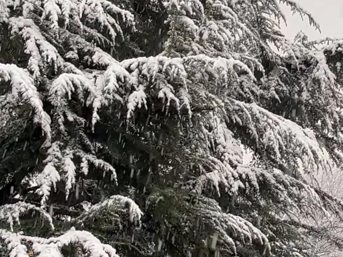 Winteridylle bringt Chaos auf Südtirols Straßen