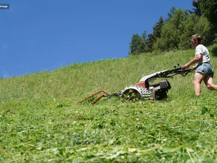 Bauernbund: „Müssen schützen, was uns schützt“