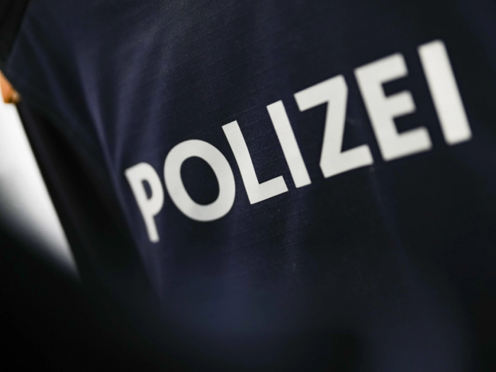 Warnung vor zwei entlaufenen Stieren in der Steiermark