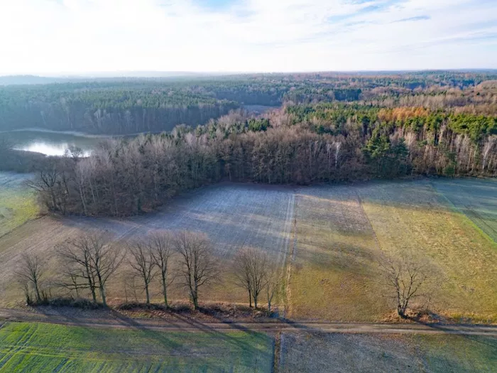 EU-Parlament fixiert Verschiebung der Entwaldungsverordnung