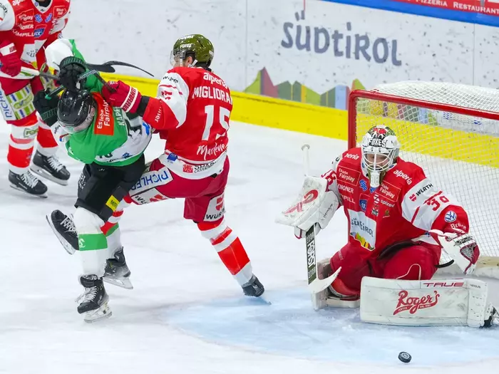 Foxes holen Heimsieg gegen Ljubljana