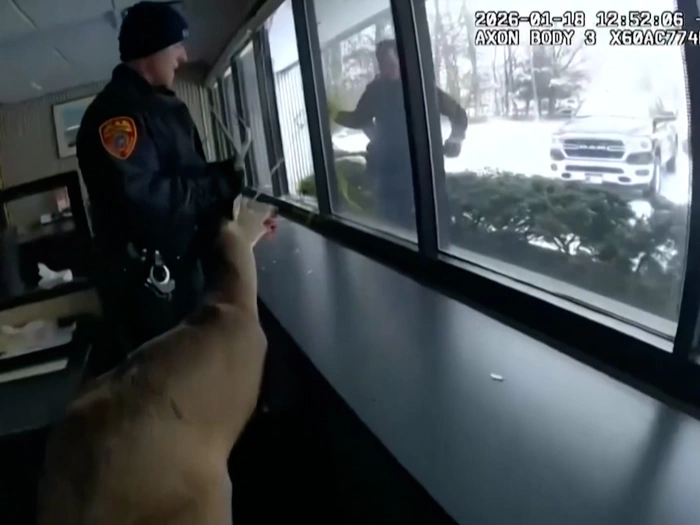 Einbruch in Bank: Hirsch festgenommen - VIDEO