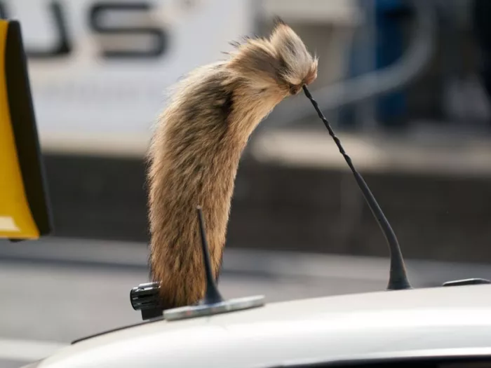 Opel legt Comeback des Manta vorerst auf Eis