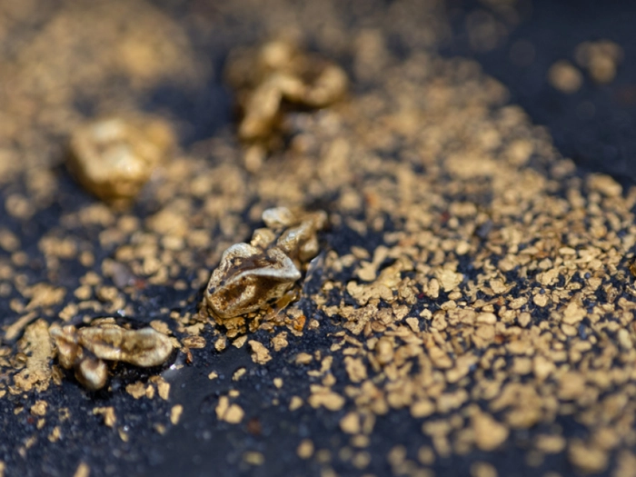 Venezuelas Rohstoffsektor: Viel ungenütztes Potenzial