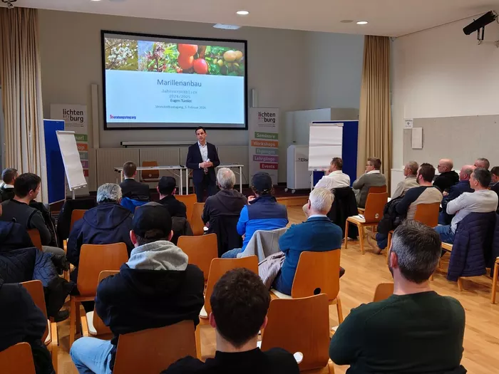 Steinobstanbau zwischen Fortschritt, Qualität und wirtschaftlichem Druck