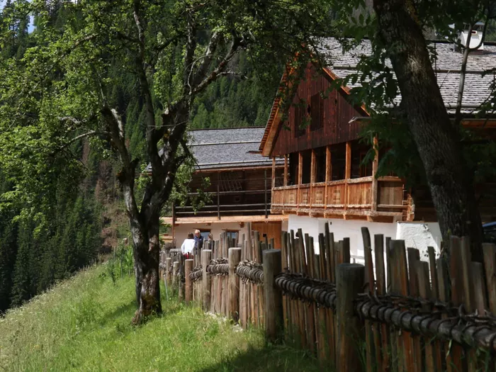 Land finanziert "Stiftung für die Unterstützung des Bildungssystems“