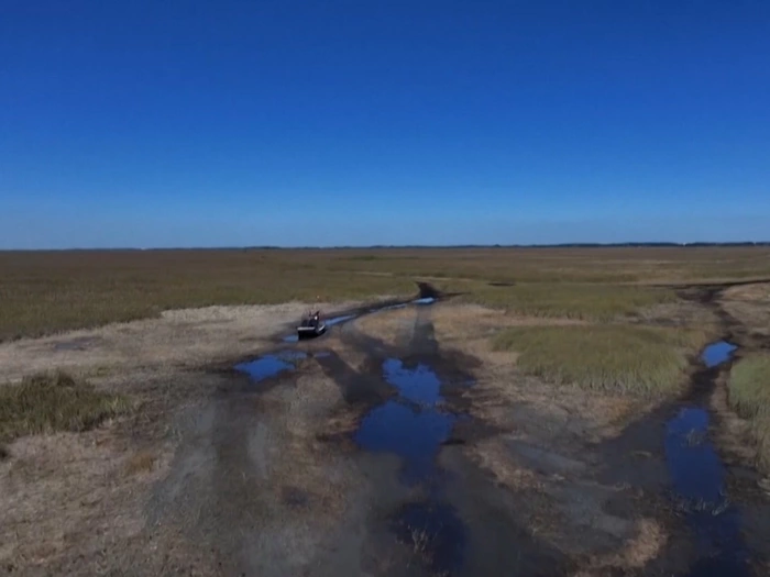 Everglades: Sumpfgebiet trocknet aus
