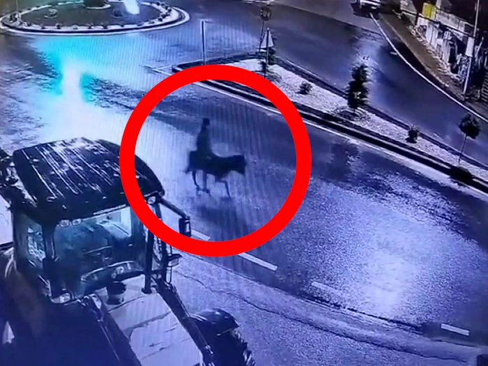 Kein Scherz: Goldräuber reitet auf dem Esel davon