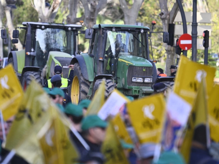 EU-Kommission kündigt Anwendung von Mercosur-Abkommen an