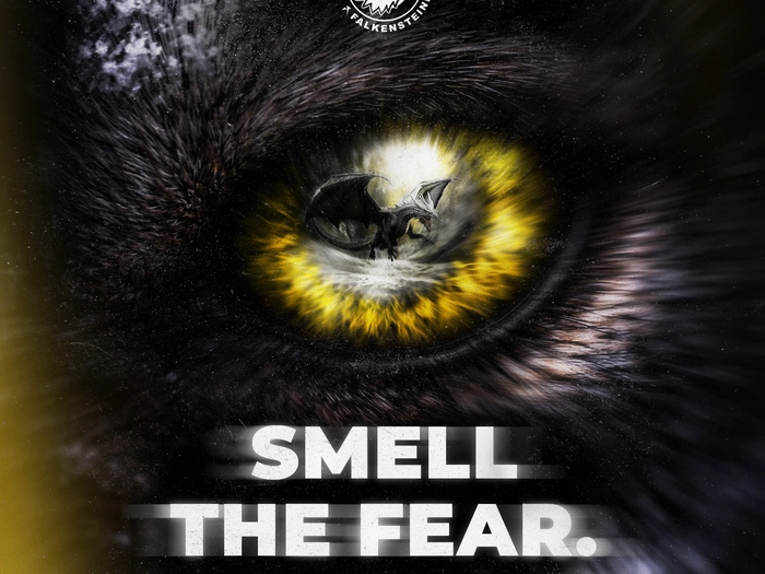 Halbfinale: Wölfe gegen Drachen