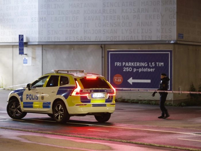 Schwede soll Ehefrau über 120 Männern für Sex verkauft haben