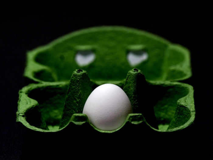 Das Ei war schon lange Zeit vor den Hühnern da