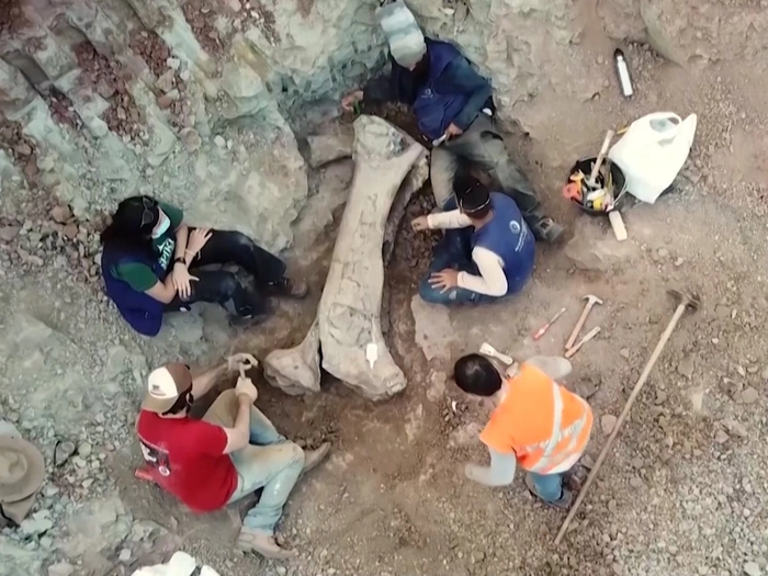 Brasilien: Skelett von Riesendino gibt Rätsel auf