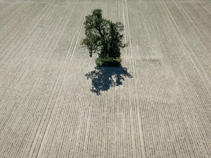 90 Prozent weniger Emissionen: EU hat neues Klimaschutzziel