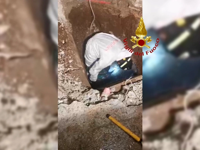 Italien: Feuerwehr rettet „Teddy“ - VIDEO