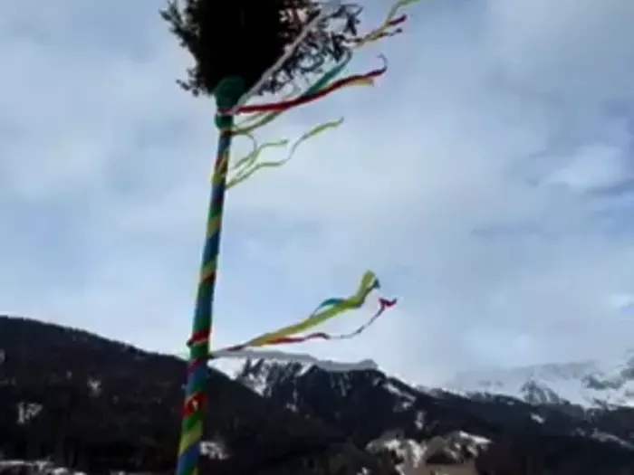 Eisiger Nordwind peitscht Palmstange in Ridnaun - VIDEO