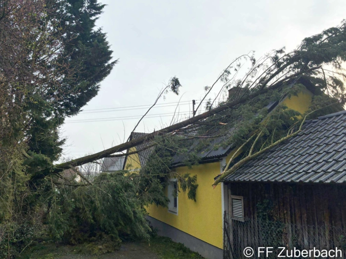 Waldbrand-Einsatz für Kärntner Feuerwehren geht weiter