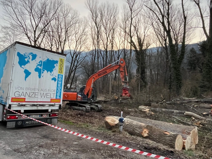 Rodung im Brixner Auwald: Gemeinderäte erheben ihre Stimme