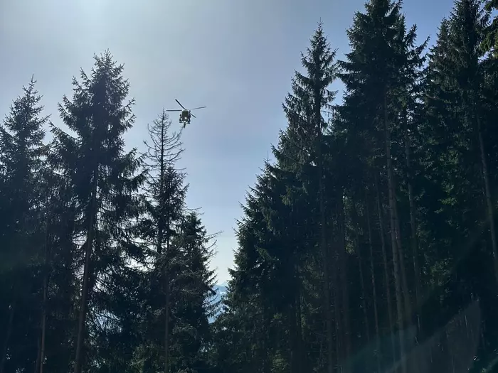 Wanderer bei Holzarbeiten nahe der Mutspitze verletzt