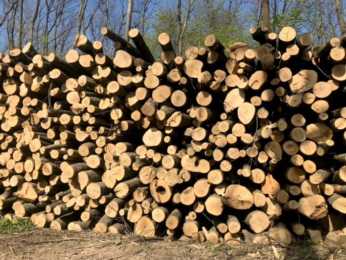 Holzzentralheizungen: 4,7 Millionen Euro an Fördermitteln ausgezahlt