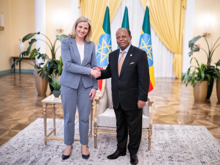 Meinl-Reisinger in Äthiopien - Zugang zu Afrika überdenken