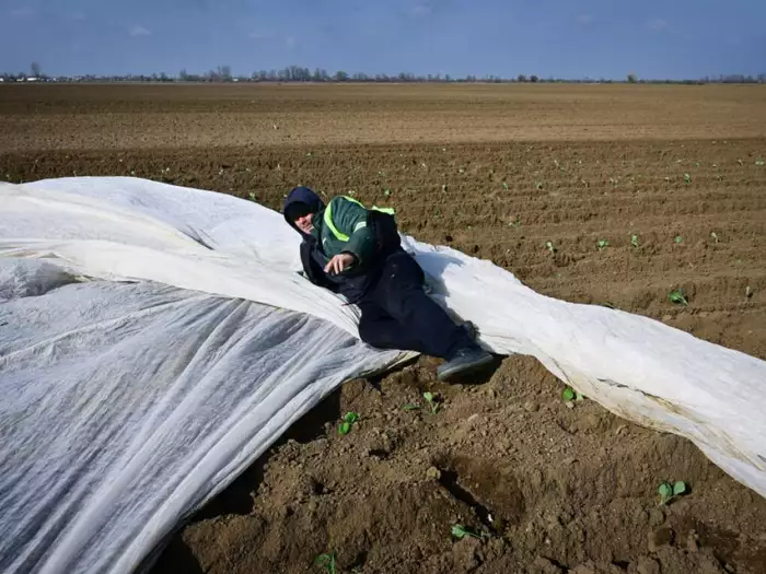 UNO: Iran-Krieg treibt über 30 Millionen Menschen in Armut