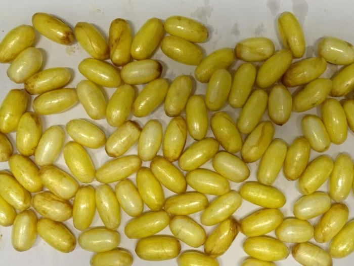 Bodypacker mit 85 Kokain-Päckchen am Flughafen Wien gefasst