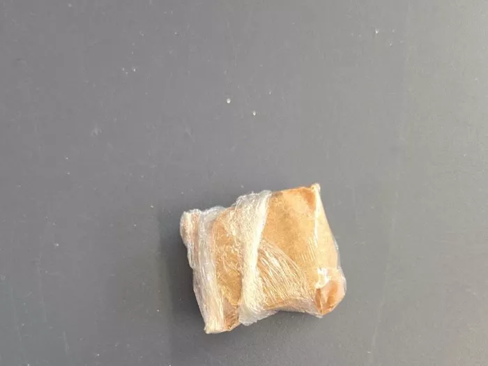 Polizei in Bozen: Gesuchter Dieb festgenommen