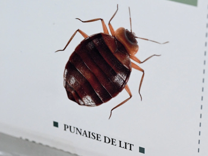 Prozess nach Tod von Hamburger Familie in Istanbul