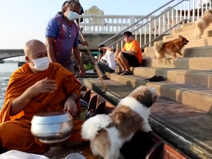 Dieser Mönch hat ein Herz für Hunde - VIDEO