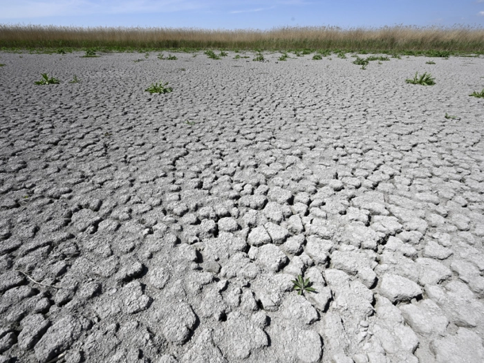 Plattform fordert echtes Klimagesetz für wirksamen Klimaschutz