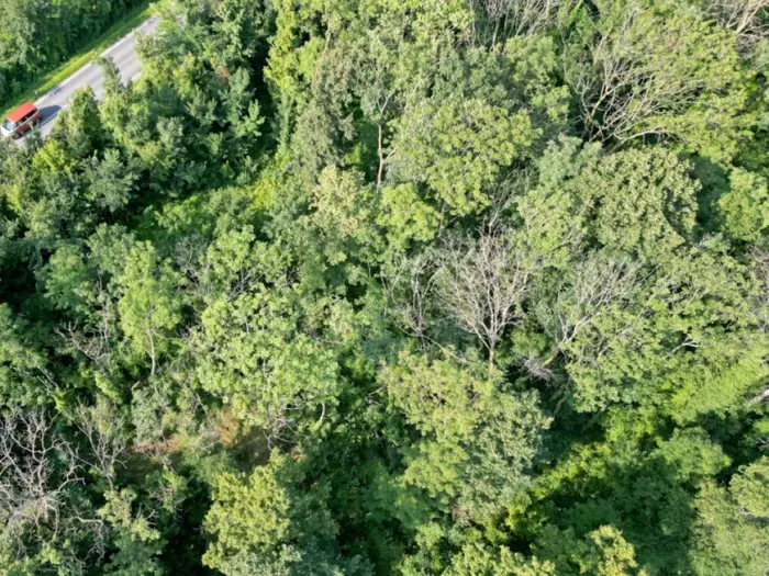Greenwashing-Verbot tritt im Herbst in Kraft