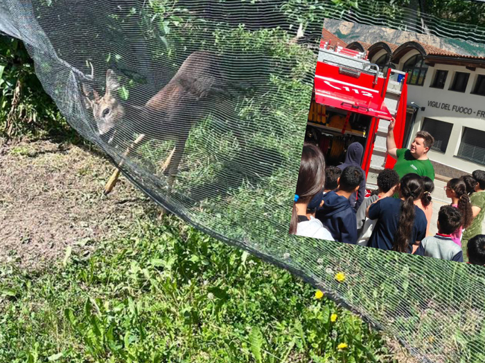 Tierrettung und Nachwuchsförderung