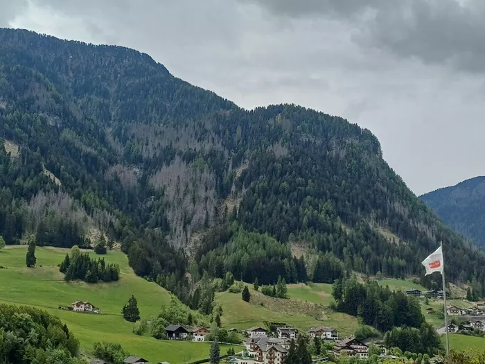 Arbeiten im Schutzwald Lausbühl zur Sicherheit der Bevölkerung