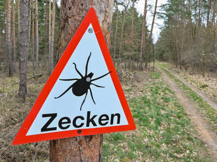Weiteres von Zecken übertragenes Virus auch in Österreich
