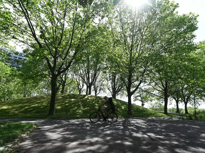 Burschen nach Angriff auf Ehepaar in Wiener Park gefasst