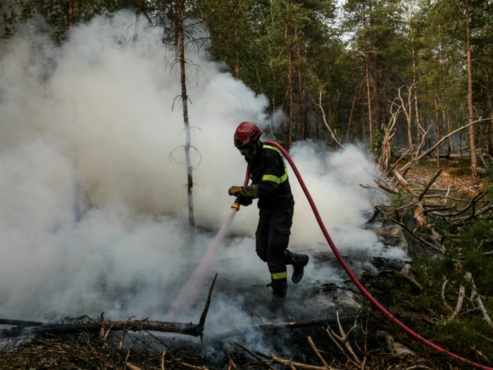 Waldbrand bei Paris eingedämmt - Verdächtige in Gewahrsam