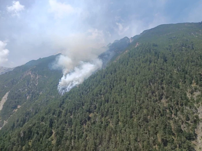 "Nur mehr einzelne Glutnester" bei Waldbrand in Tirol