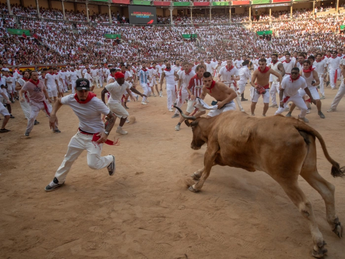 Verletzte bei zweiter Stierhatz in Pamplona