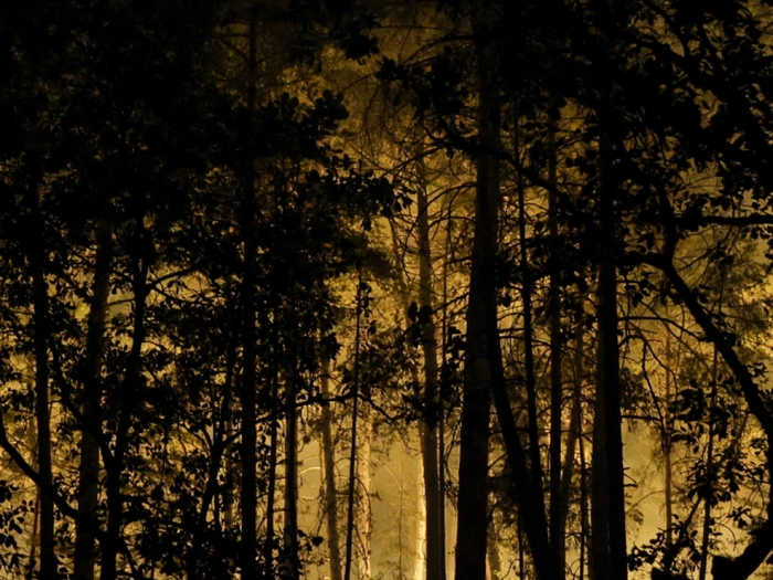 Riesiger Waldbrand im Süden von Paris
