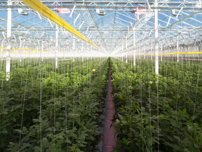 CO2-Abscheidung und -Speicherung in Österreich konkreter
