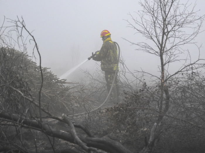 Waldbrand in Ostbelgien laut Behörden "eingekreist"