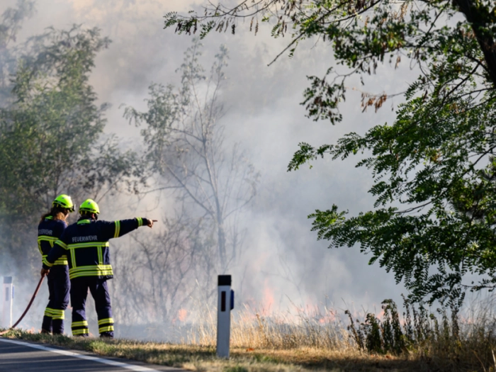 Waldbrand in Niederösterreich unter Kontrolle