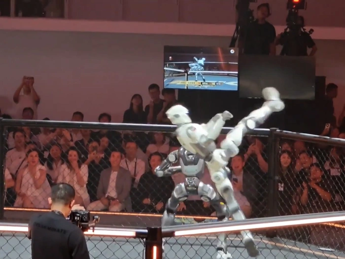 KI-Roboter prügeln sich im Kampfkäfig - VIDEO