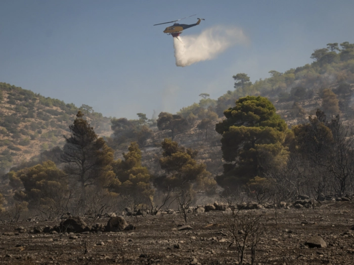 Erneut Waldbrand in der Nähe von Athen ausgebrochen