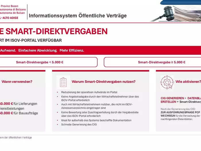 Informationssystem öffentliche Verträge: Neue Smart-Direktvergaben