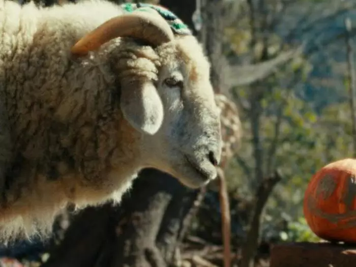 "Sheep" im ZDF: Wenn Düringer und Minichmayr Schafe sprechen